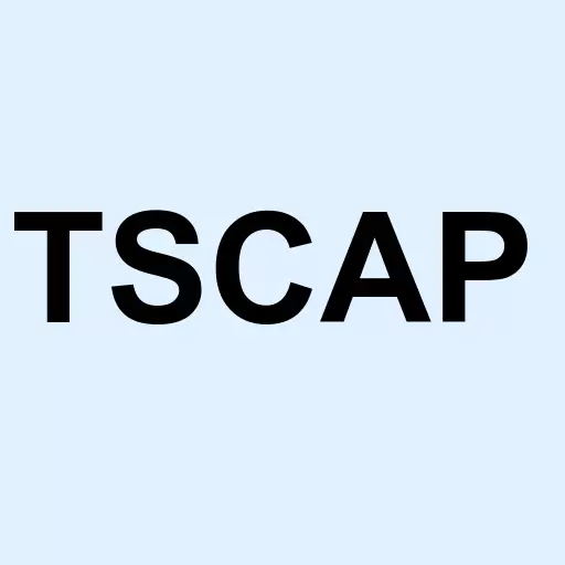 TriState Capital Holdings Inc. Dep Shs Rep 1/40th Int 6.75% Srs A Non-Cum Pfd Logo