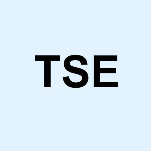 Stock tse logo