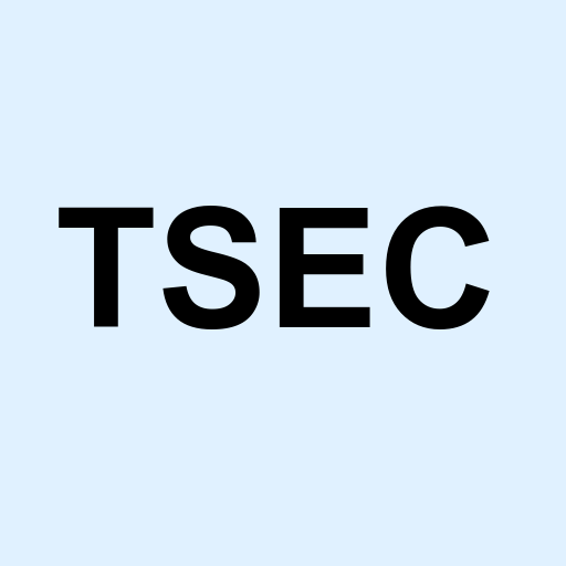 Stock TSEC logo