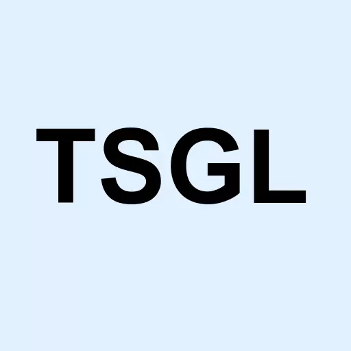 Staffing Group Ltd (The) Logo