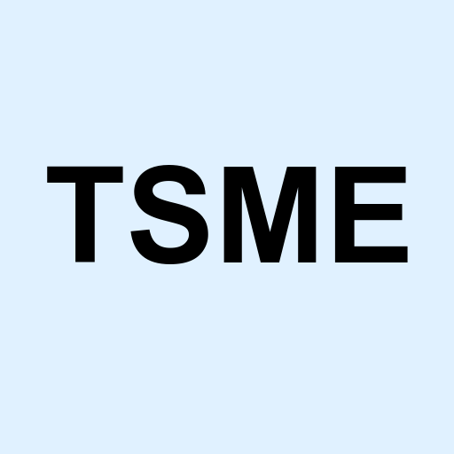 Stock tsme logo