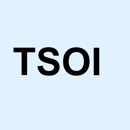 Therapeutic Sltns Intl Logo