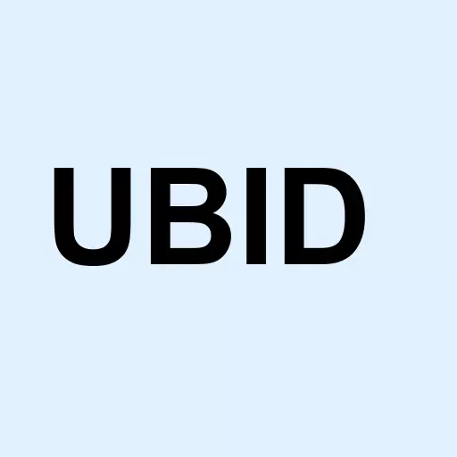 UBid Holdings Inc Logo