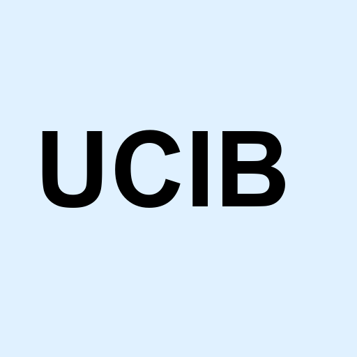 Stock ucib logo