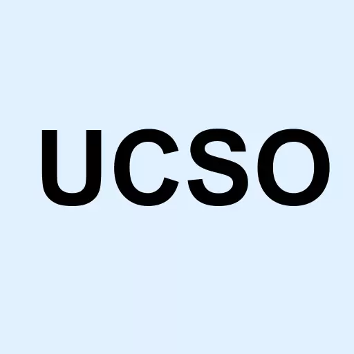 United Consortium Ltd Logo