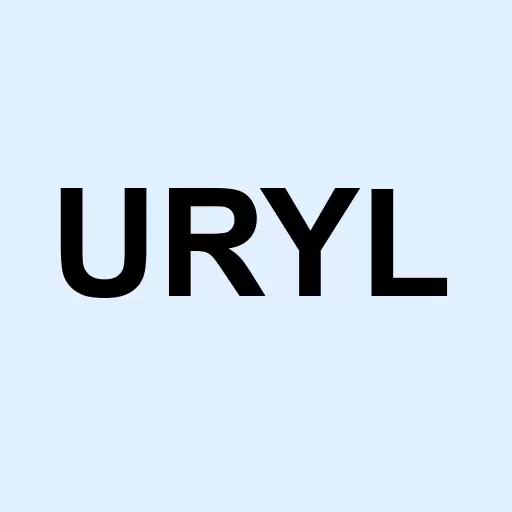 United Royale Holdings Corp Logo