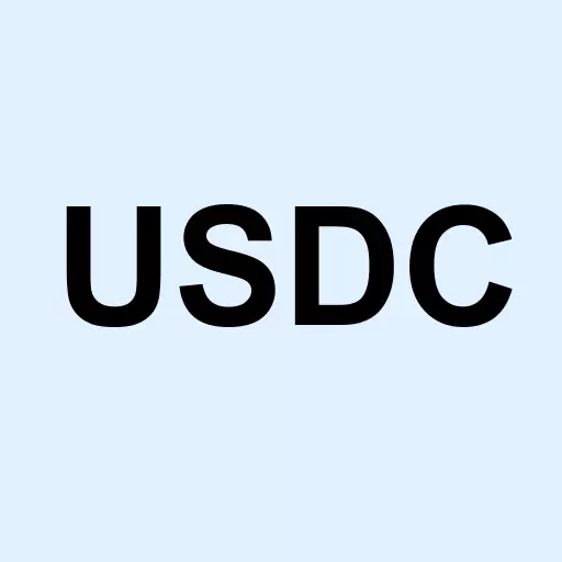 USDATA Corp. Logo
