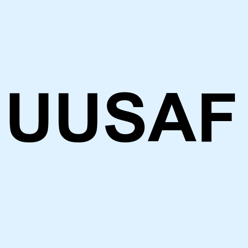 Stock UUSAF logo