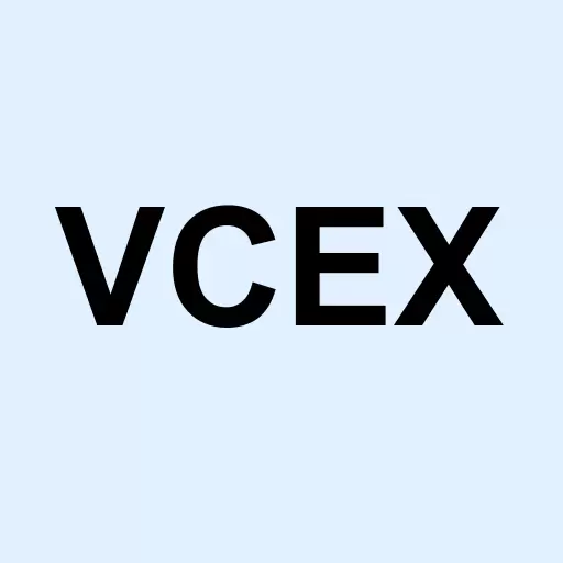 Vaccex Inc Logo