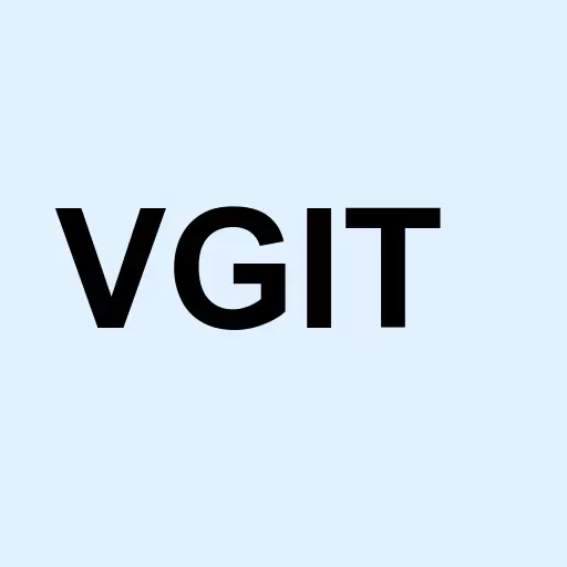 Vanguard Intermediate-Term Government Bond ETF Logo