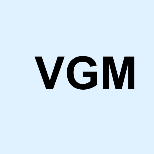 Stock VGM logo