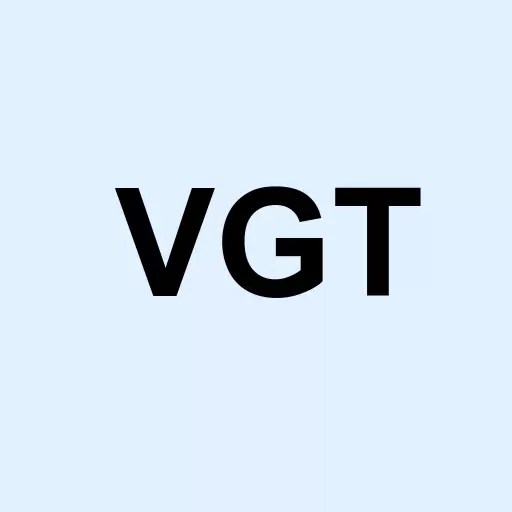 Vanguard Information Tech Logo