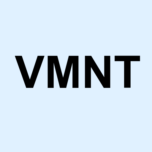 Stock vmnt logo