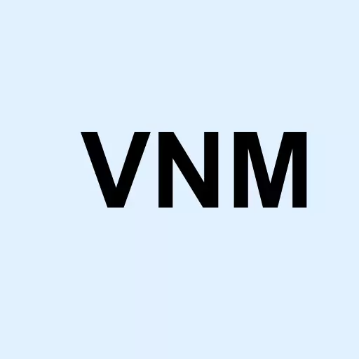 VanEck Vietnam ETF Logo