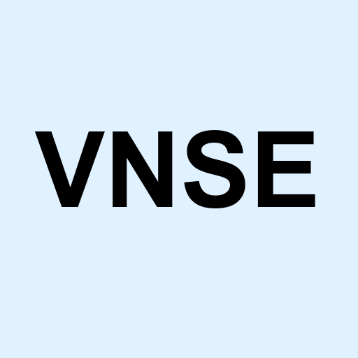 Stock vnse logo