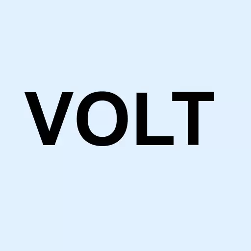 Volt Information Sciences Inc. Logo