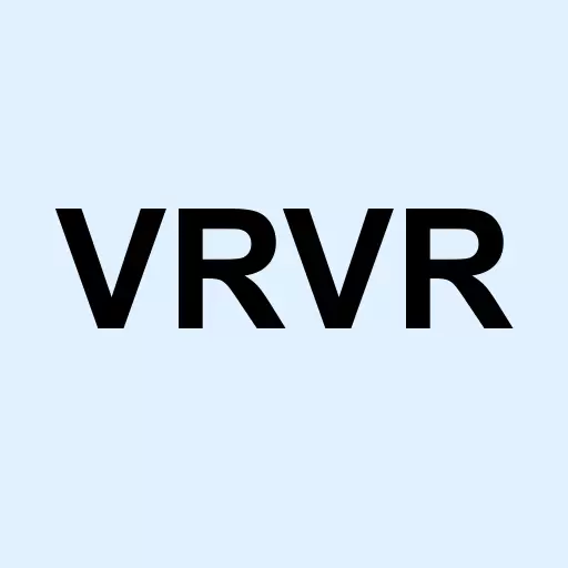 Virtual Interactive Technologies Corp Logo