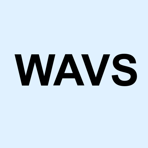 Stock wavs logo