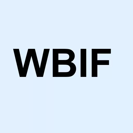 WBI BullBear Value 1000 Logo