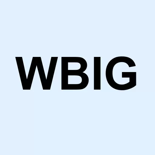 WBI BullBear Yield 1000 Logo