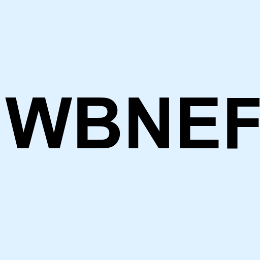 Stock wbnef logo