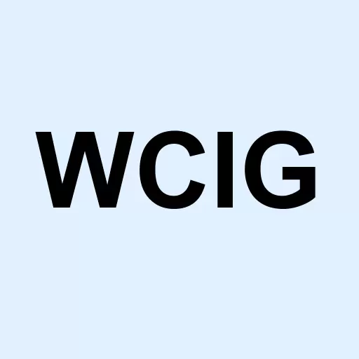 Wee-Cig International Corp Logo
