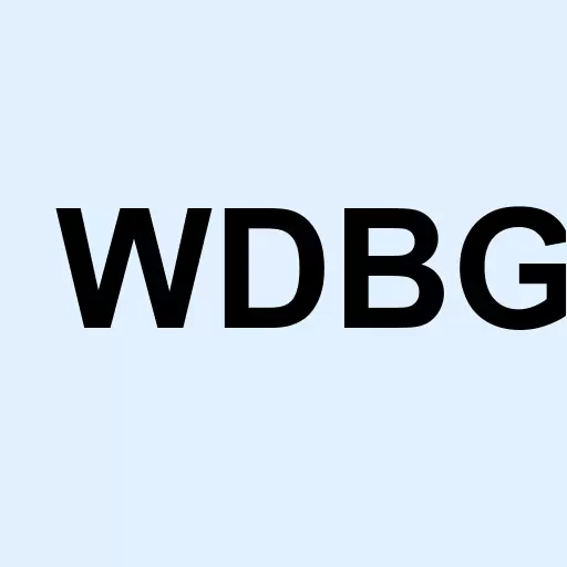Woodbrook Group Holdings Inc Logo