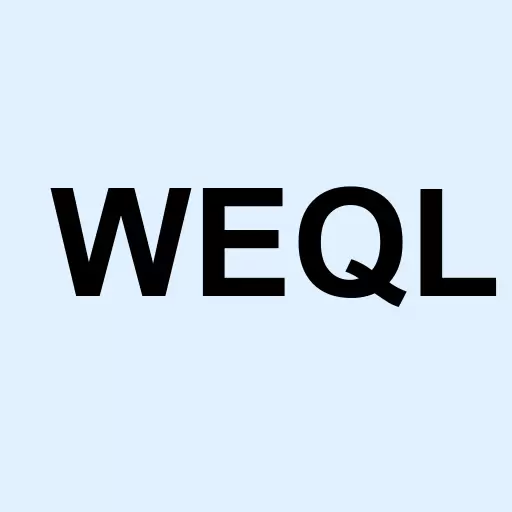 Wellquest Med & Wellness Logo