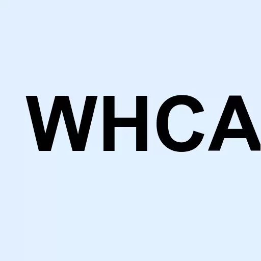Williston Holding Co. Inc Logo