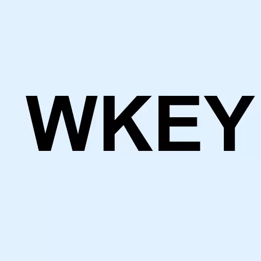 WISeKey International Holding AG Logo