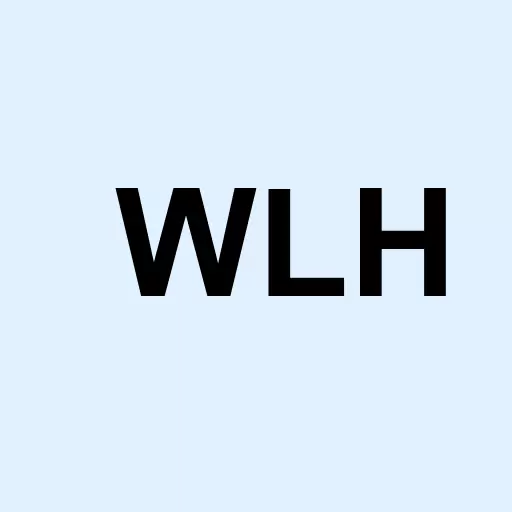 Lyon William Homes (Class A) Logo