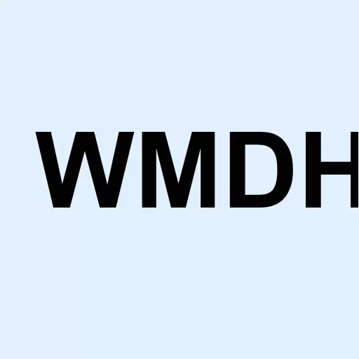 Wmd Holdings Group Inc Logo