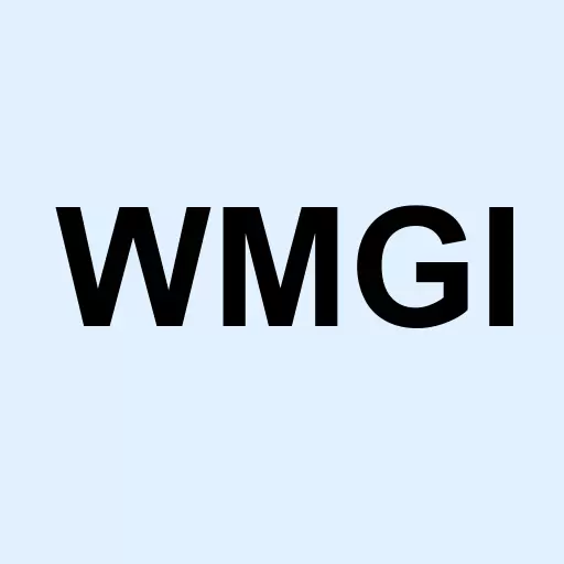 Wright Medical Group N.V. Logo