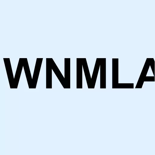 Winmill & Co Inc A Logo