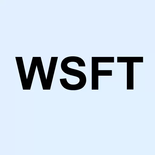 WikiSoft Corp Logo