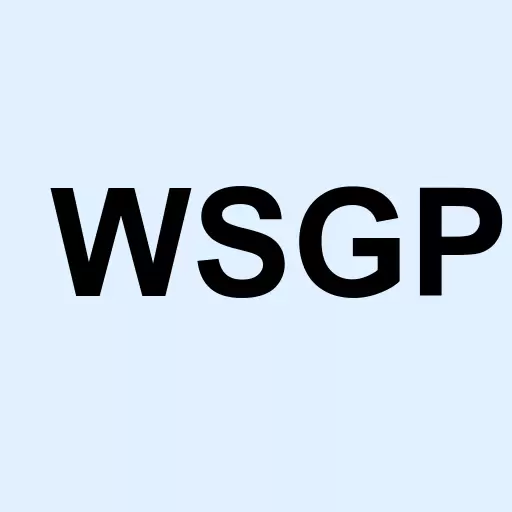 Western Graphite Inc Logo