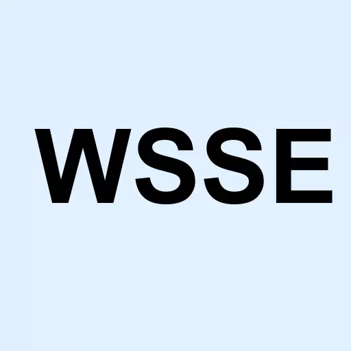Wallstreet Secs Inc Logo