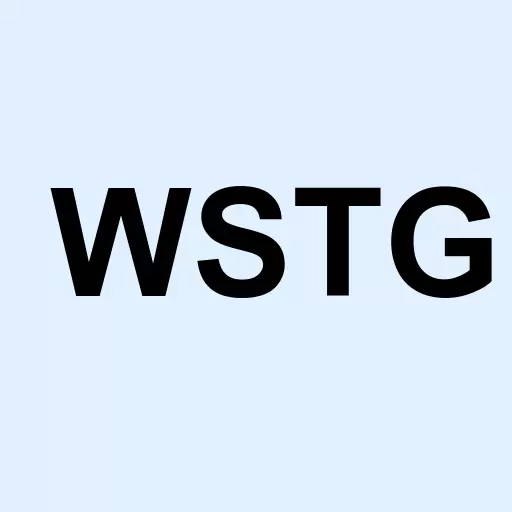 Wayside Technology Group Inc. Logo