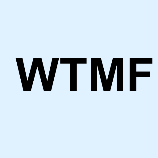 Stock wtmf logo
