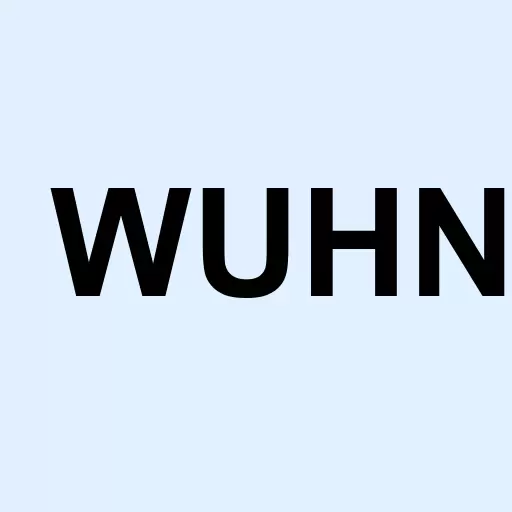 Wuhan General Group Inc Logo
