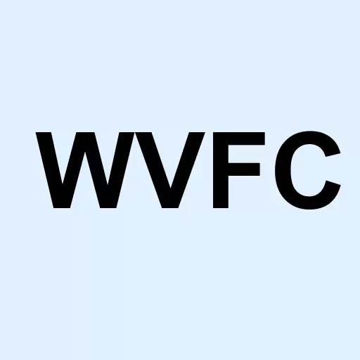 WVS Financial Corp. Logo