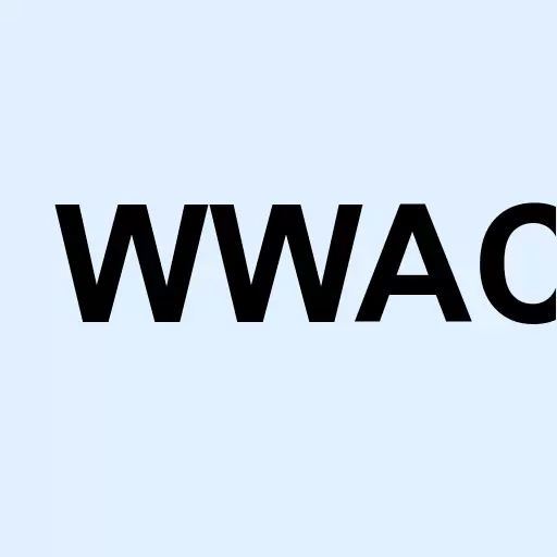 Worldwide Webb Acquisition Corp. Logo