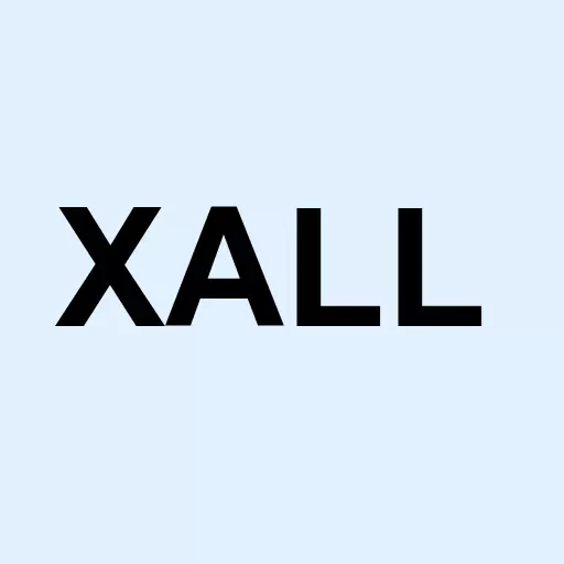 Xalles Holdings Inc Logo
