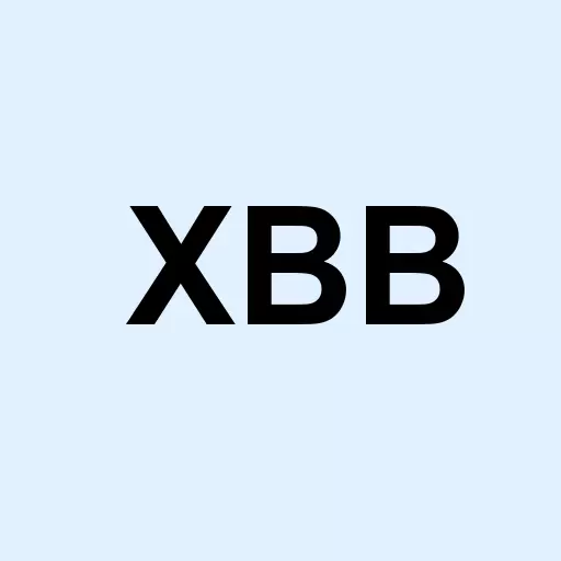 BondBloxx BB-Rated USD High Yield Corporate Bond ETF Logo