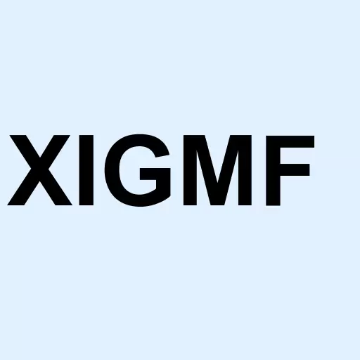 Xigem Technologies Logo