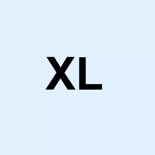 XL Group Ltd. Logo