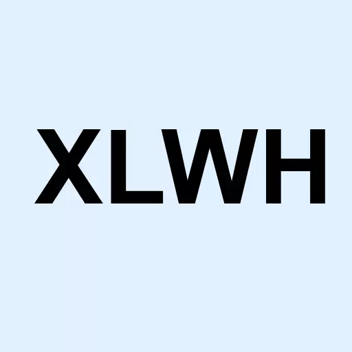 XinliWang International Holdings Co Ltd Logo