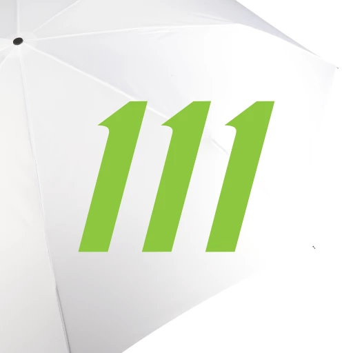 111 Inc. Logo