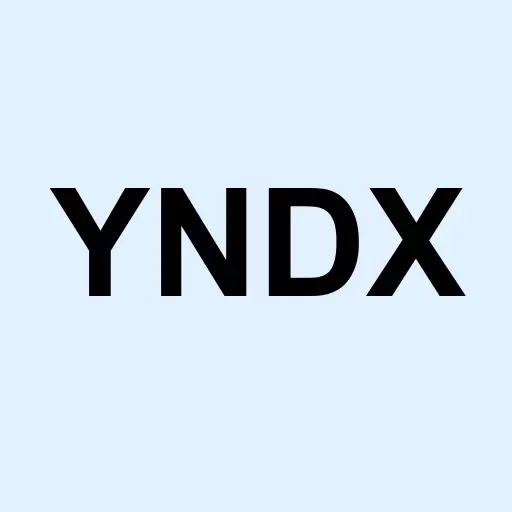 Yandex N.V. Logo