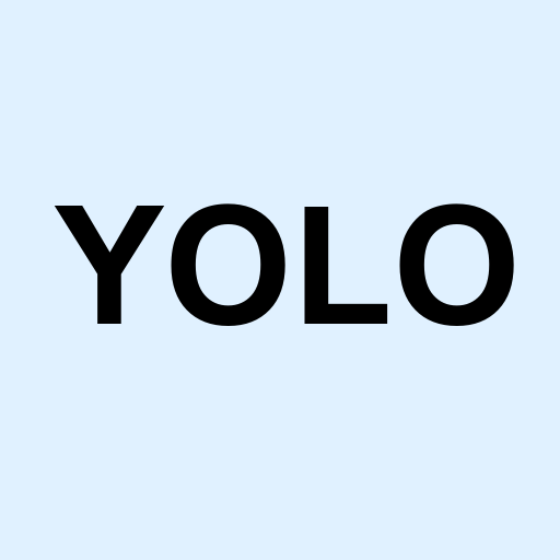 Stock yolo logo